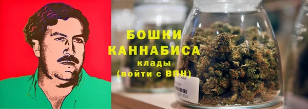 mdpv Новозыбков