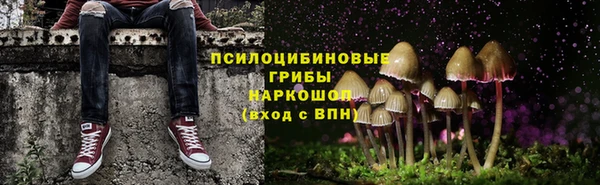герыч Новодвинск