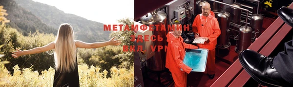 ГАЛЛЮЦИНОГЕННЫЕ ГРИБЫ Нефтекумск