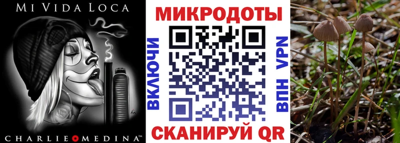 Псилоцибиновые грибы ЛСД  Змеиногорск 